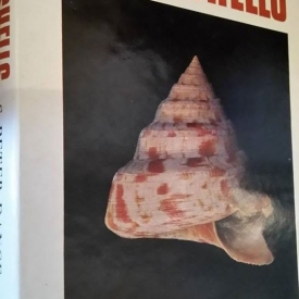 Rare shells (relié) de s.peter dance