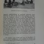 Le bordelais lanoire m