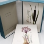 ‎flore d'europe plantes herbacées et sous-arbrisseaux krausel richard, merxmuller h. & nothdurft h.‎