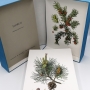 ‎flore d'europe plantes herbacées et sous-arbrisseaux krausel richard, merxmuller h. & nothdurft h.‎